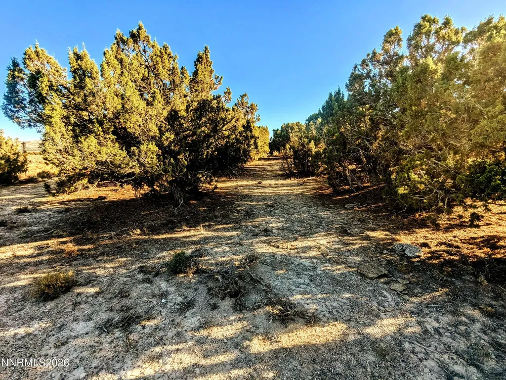 0 Twelvemile Canyon Montello NV 89830