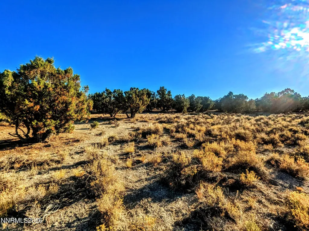 0 Twelvemile Canyon Montello NV 89830