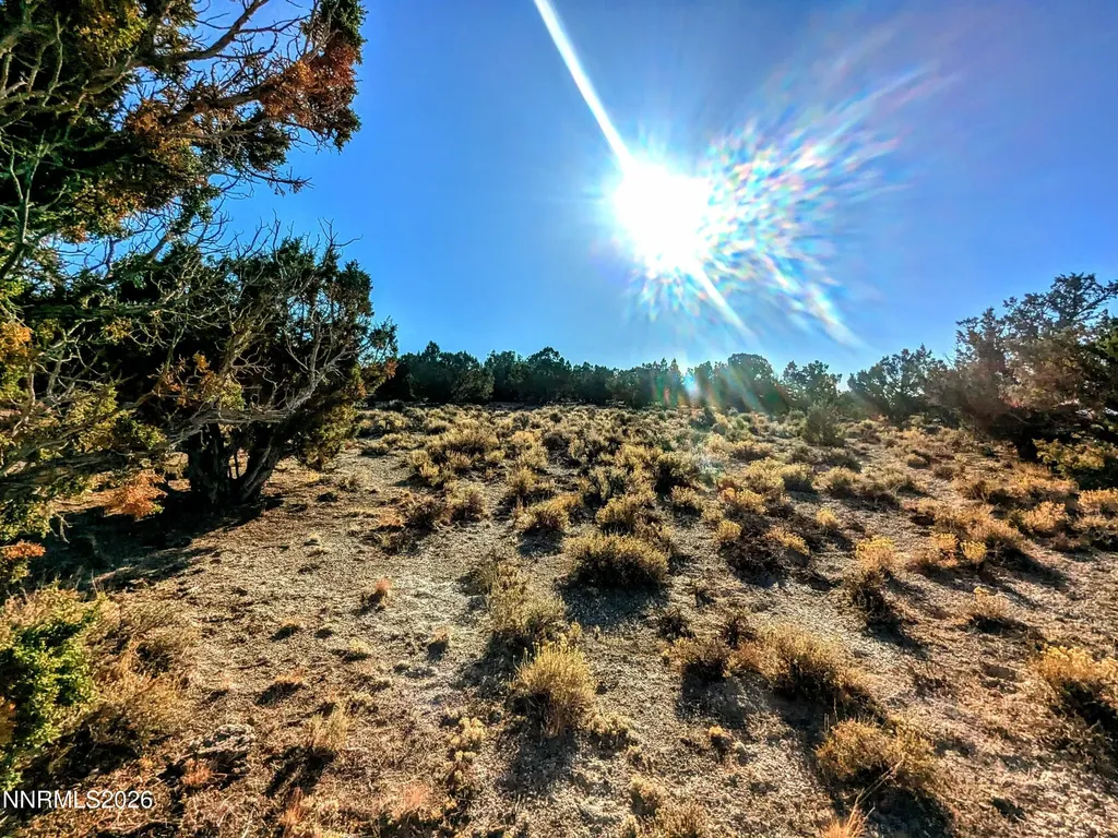0 Twelvemile Canyon Montello NV 89830