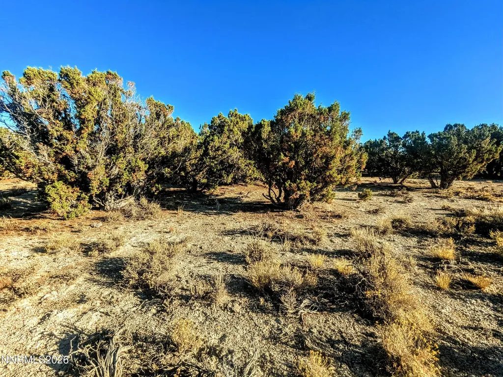 0 Twelvemile Canyon Montello NV 89830
