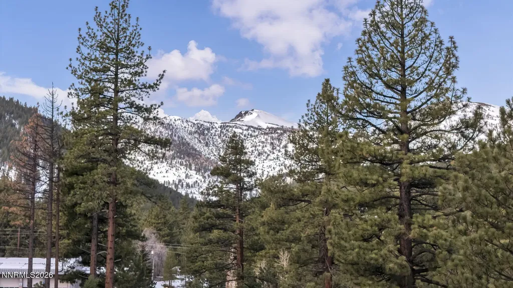 1205 Douglas Fir Reno NV 89511
