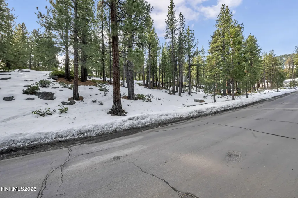 1205 Douglas Fir Reno NV 89511