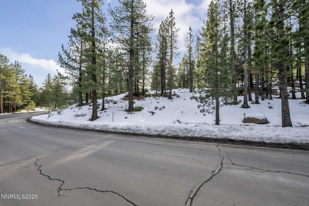 1205 Douglas Fir Reno NV 89511