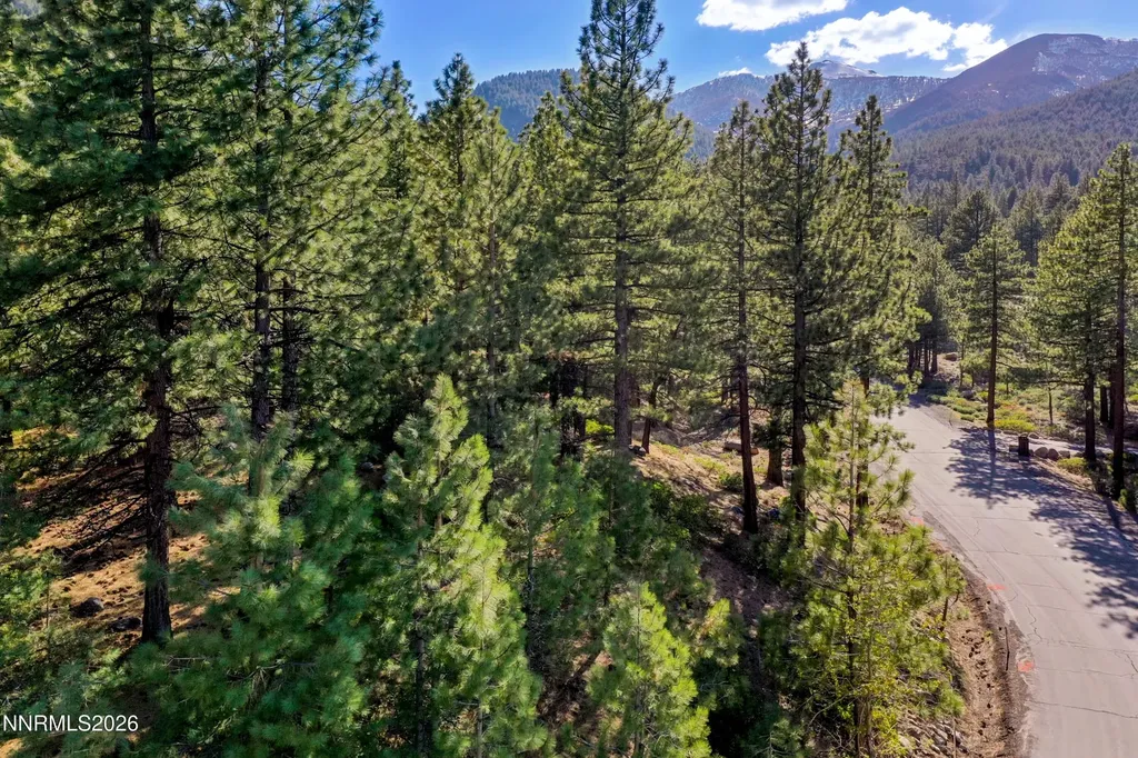 1205 Douglas Fir Reno NV 89511