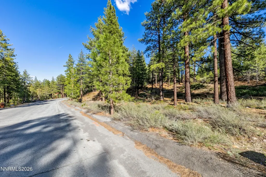1205 Douglas Fir Reno NV 89511