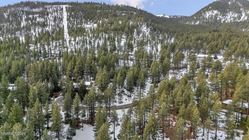 1205 Douglas Fir Reno NV 89511