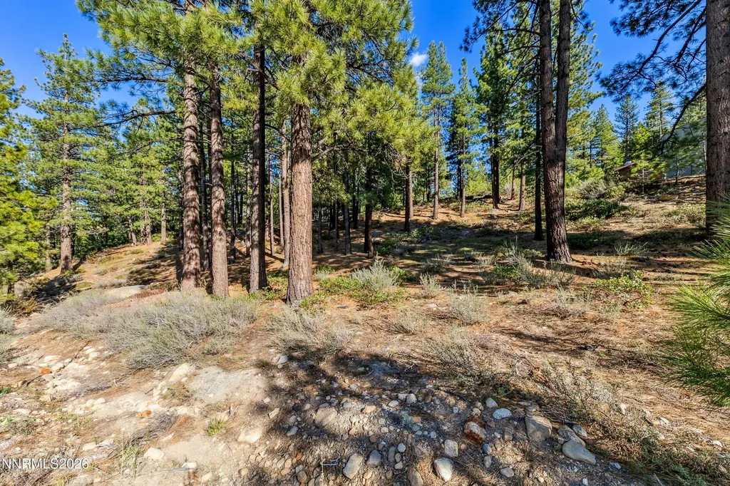 1205 Douglas Fir Reno NV 89511