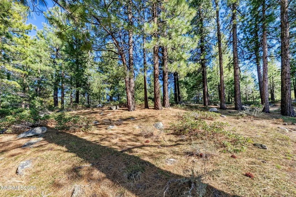 1205 Douglas Fir Reno NV 89511