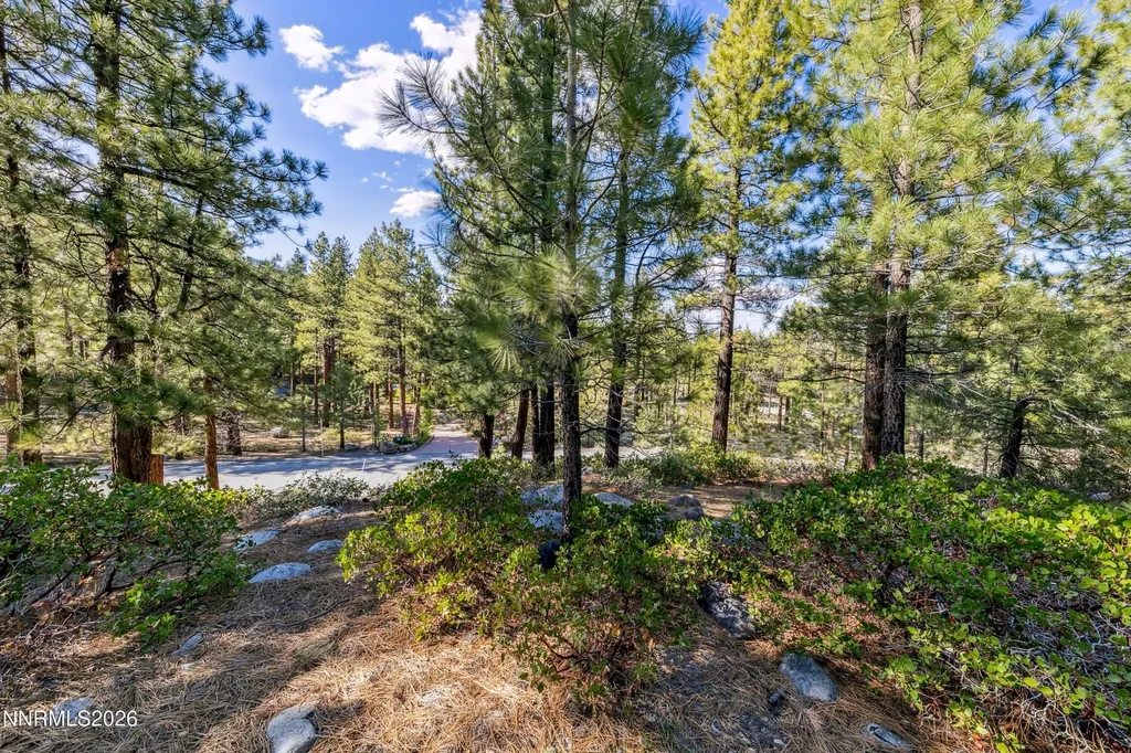 1205 Douglas Fir Reno NV 89511
