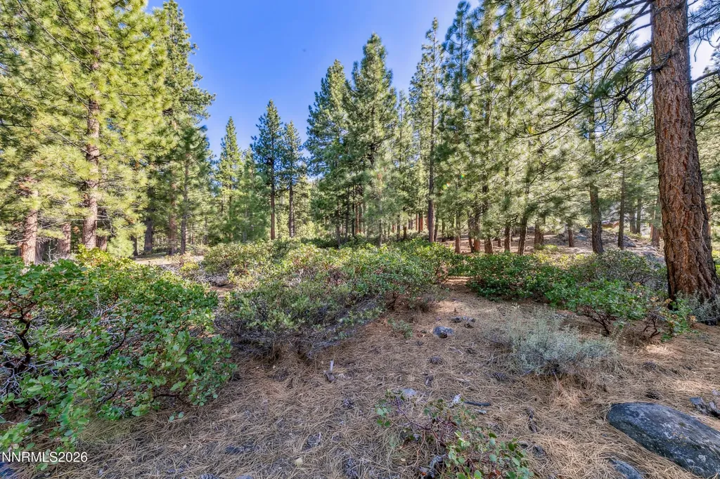 1205 Douglas Fir Reno NV 89511