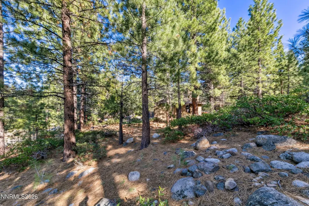 1205 Douglas Fir Reno NV 89511