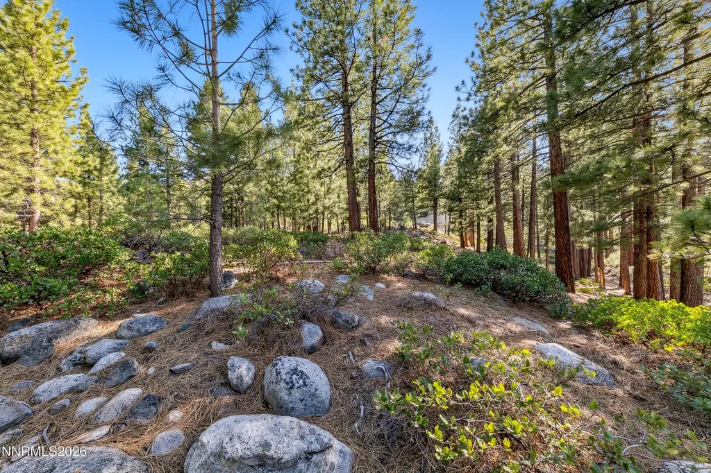 1205 Douglas Fir Reno NV 89511