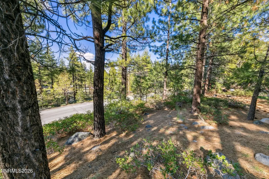 1205 Douglas Fir Reno NV 89511