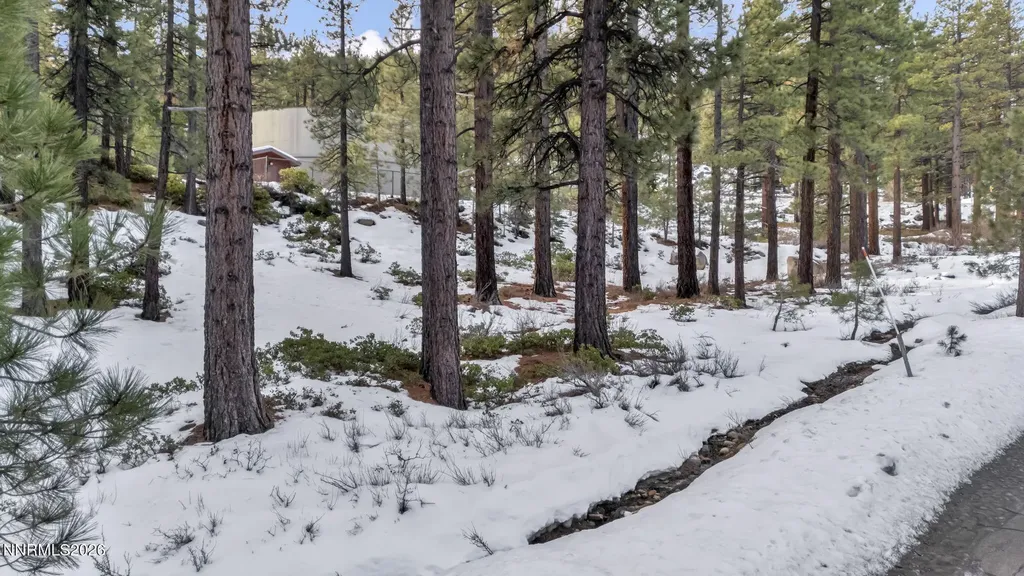 1205 Douglas Fir Reno NV 89511