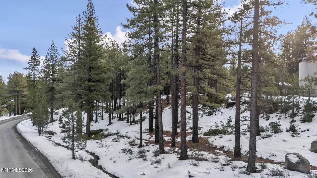 1205 Douglas Fir Reno NV 89511