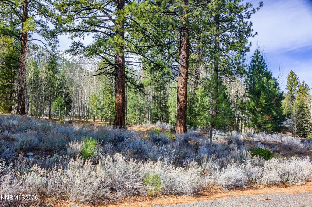 240 Forest Hill Gardnerville NV 89460