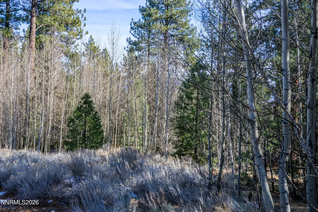 240 Forest Hill Gardnerville NV 89460