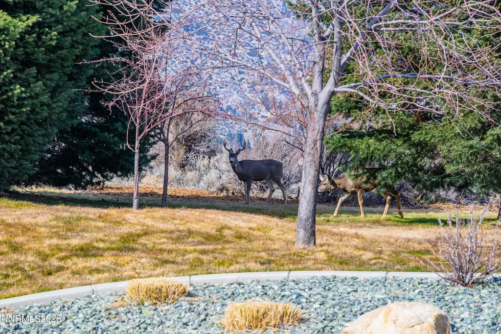 240 Forest Hill Gardnerville NV 89460
