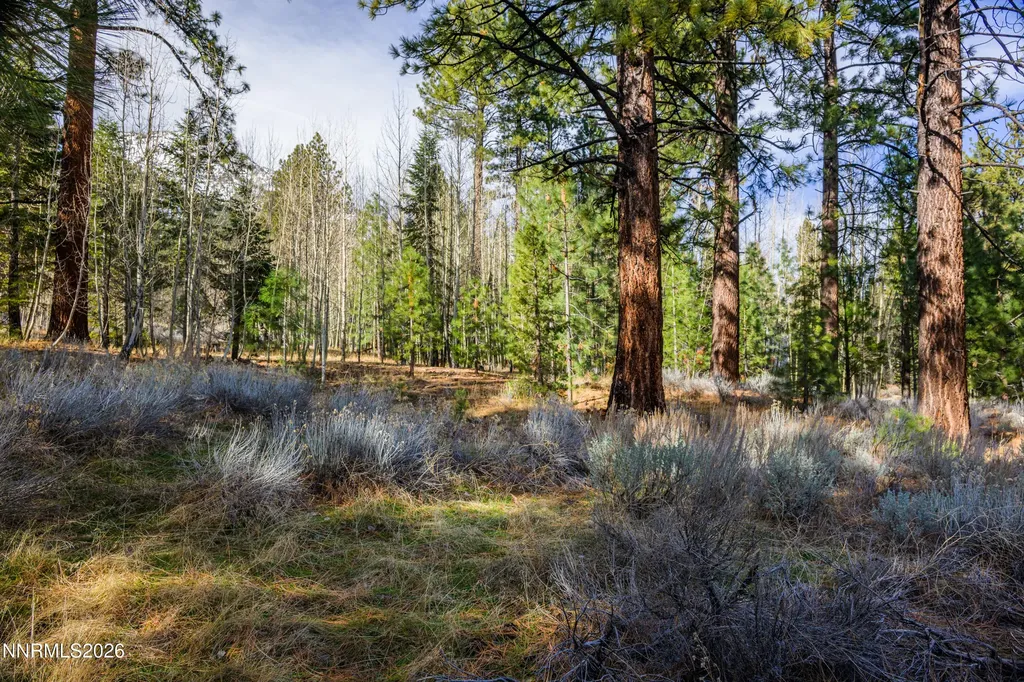240 Forest Hill Gardnerville NV 89460
