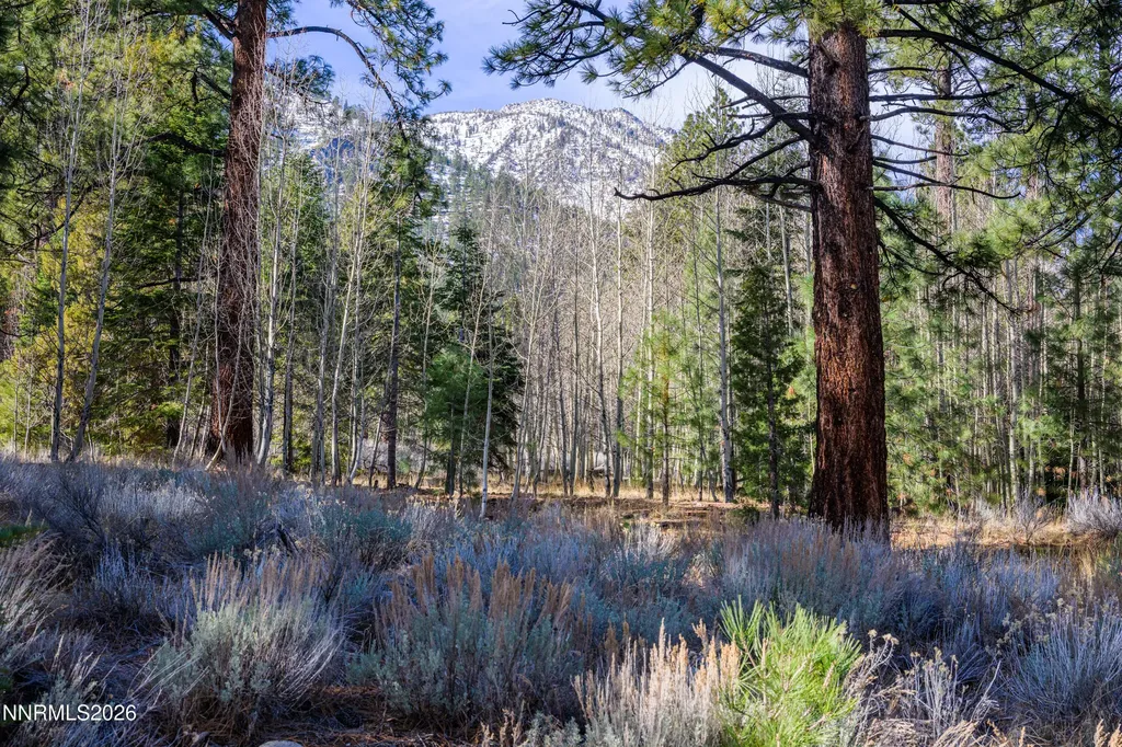 240 Forest Hill Gardnerville NV 89460