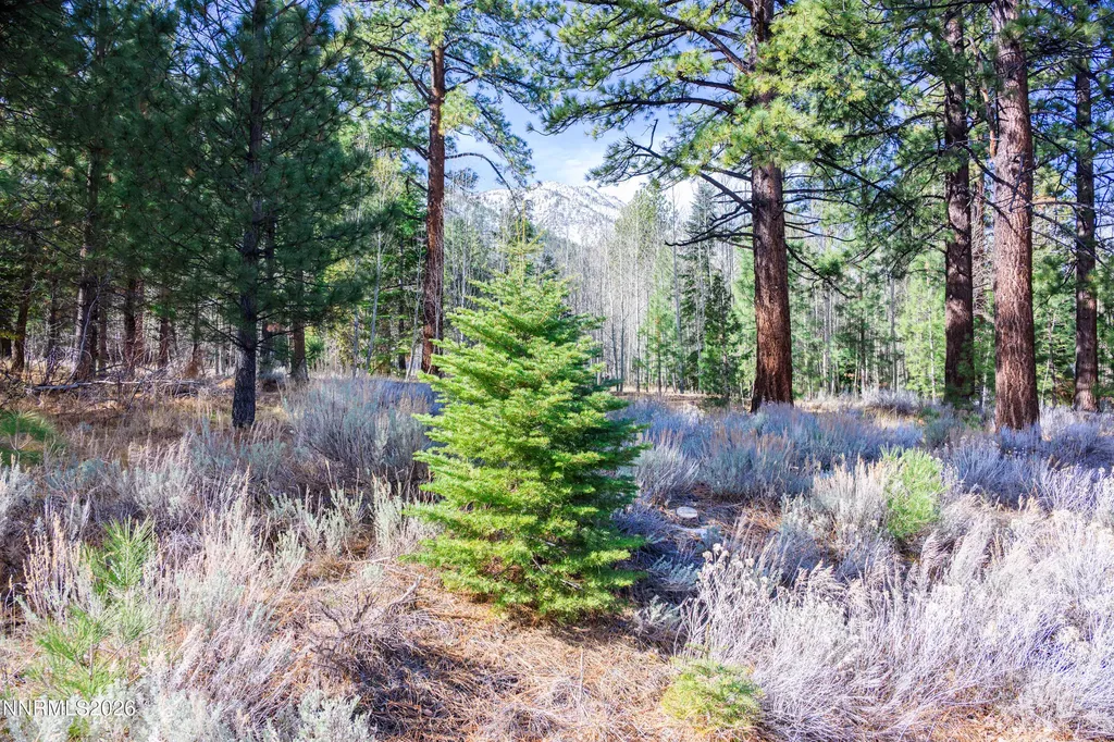 240 Forest Hill Gardnerville NV 89460