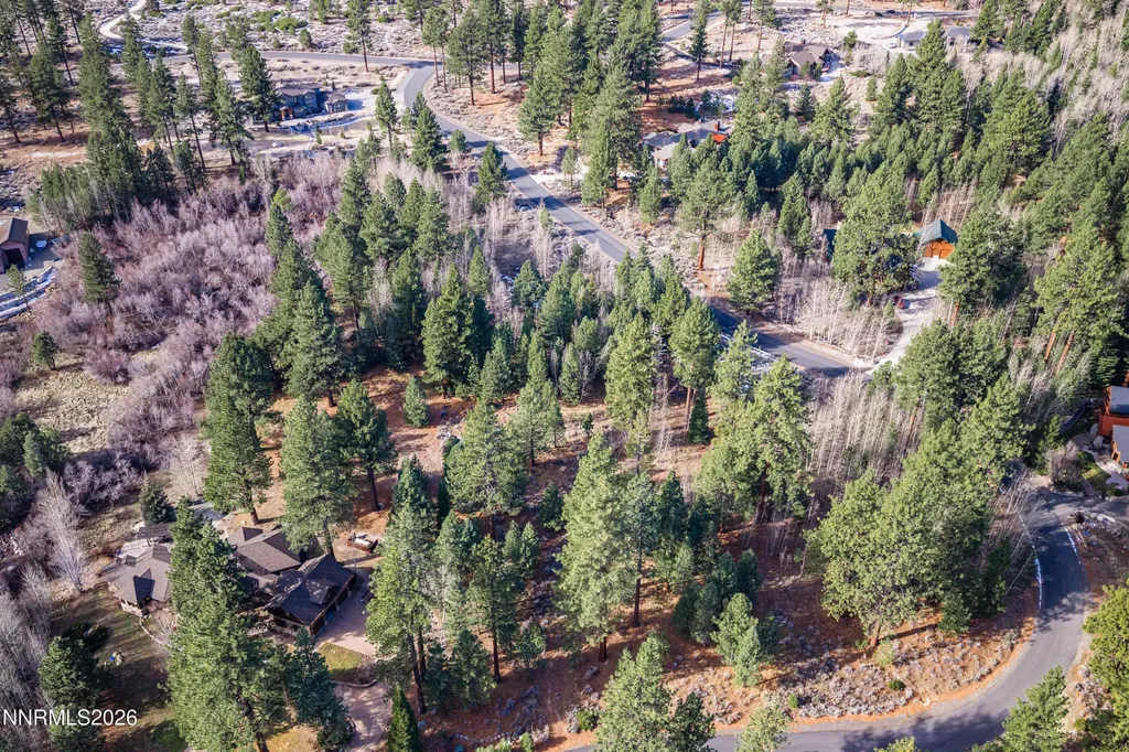 240 Forest Hill Gardnerville NV 89460