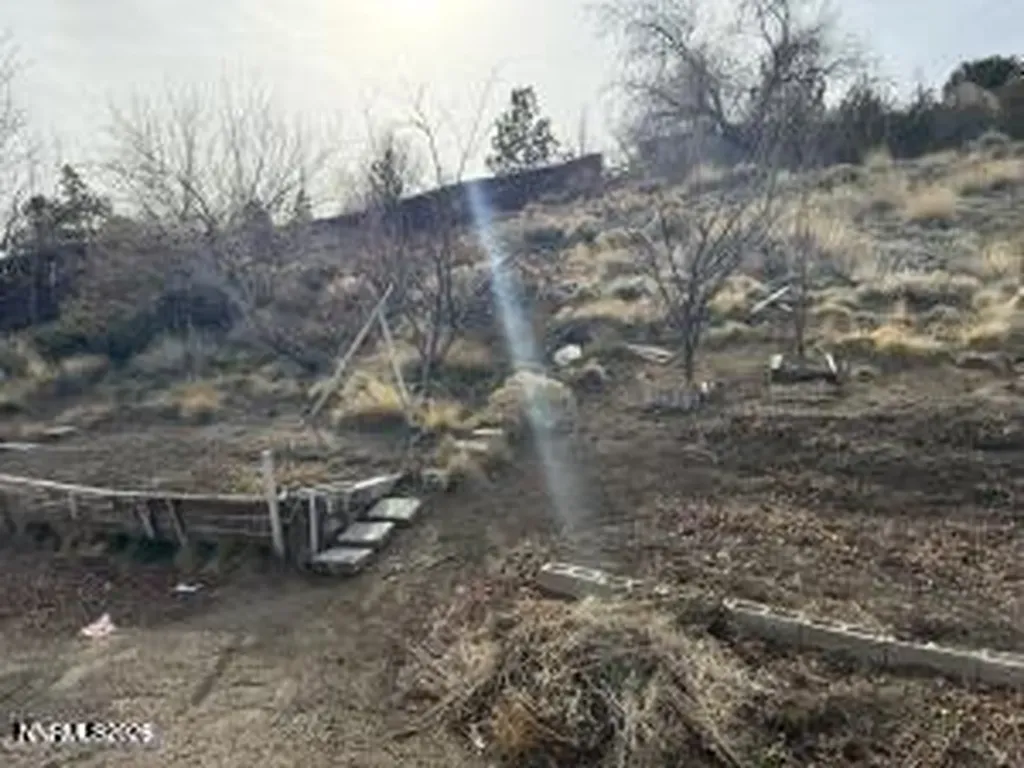 1585 Mescalero Reno NV 89523