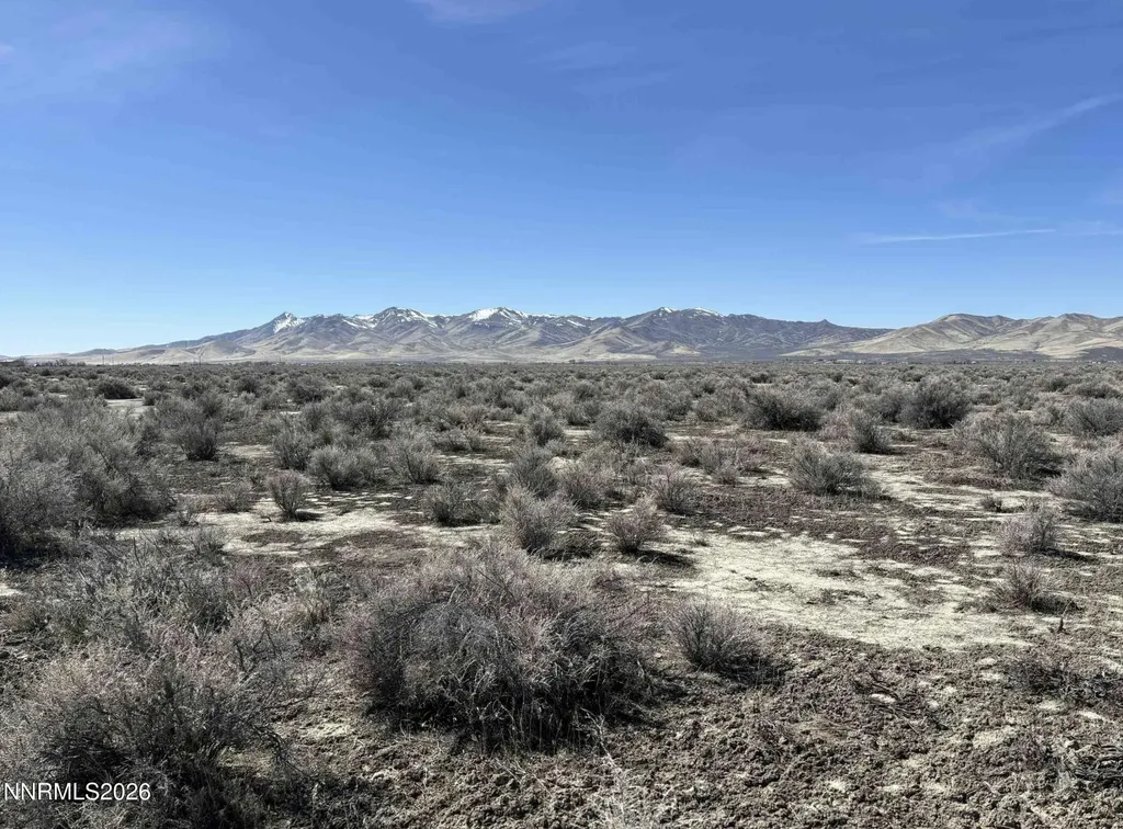 10 Acres Derringer Drive Winnemucca NV 89445