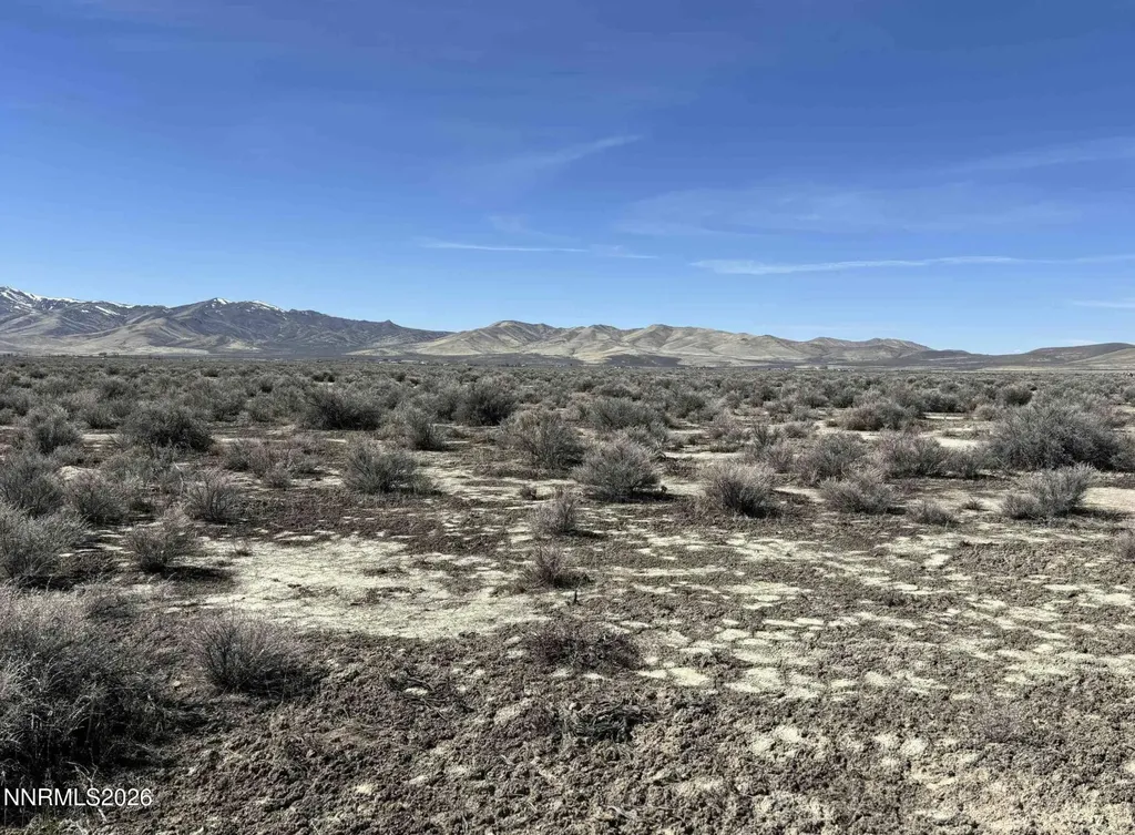 10 Acres Derringer Drive Winnemucca NV 89445