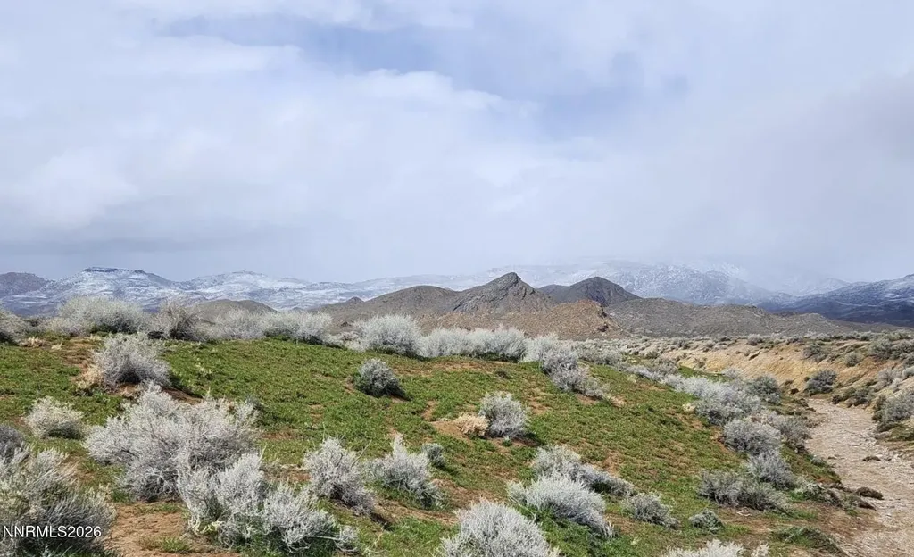 101213 Fencemaker Road Lovelock NV 89419