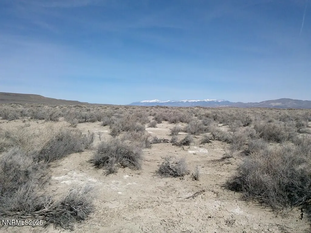 T26 R31 Sec 30 007-381-08 Lovelock NV 89419