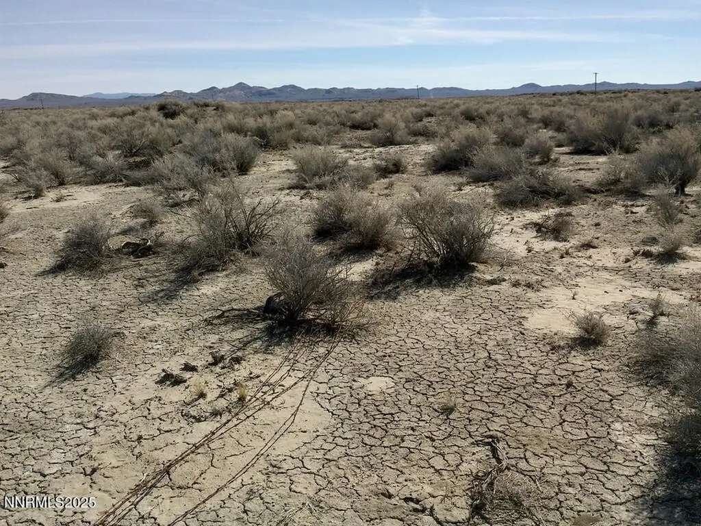 T26 R31 Sec 30 007-381-08 Lovelock NV 89419