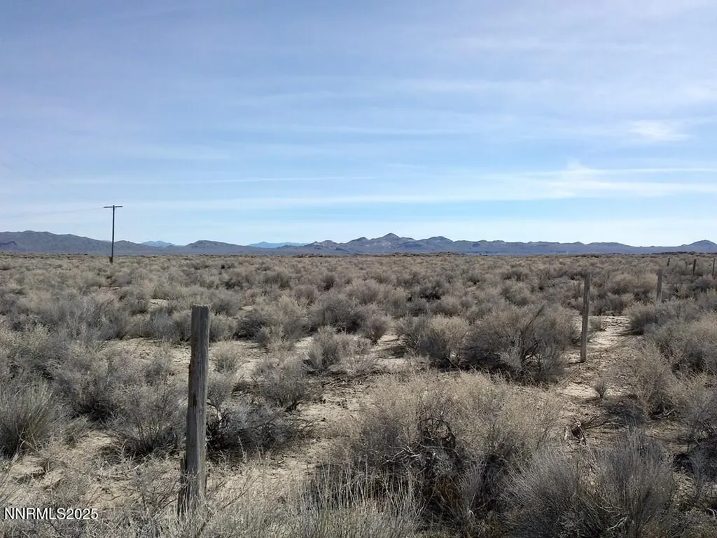 T26 R31 Sec 30 007-381-08 Lovelock NV 89419