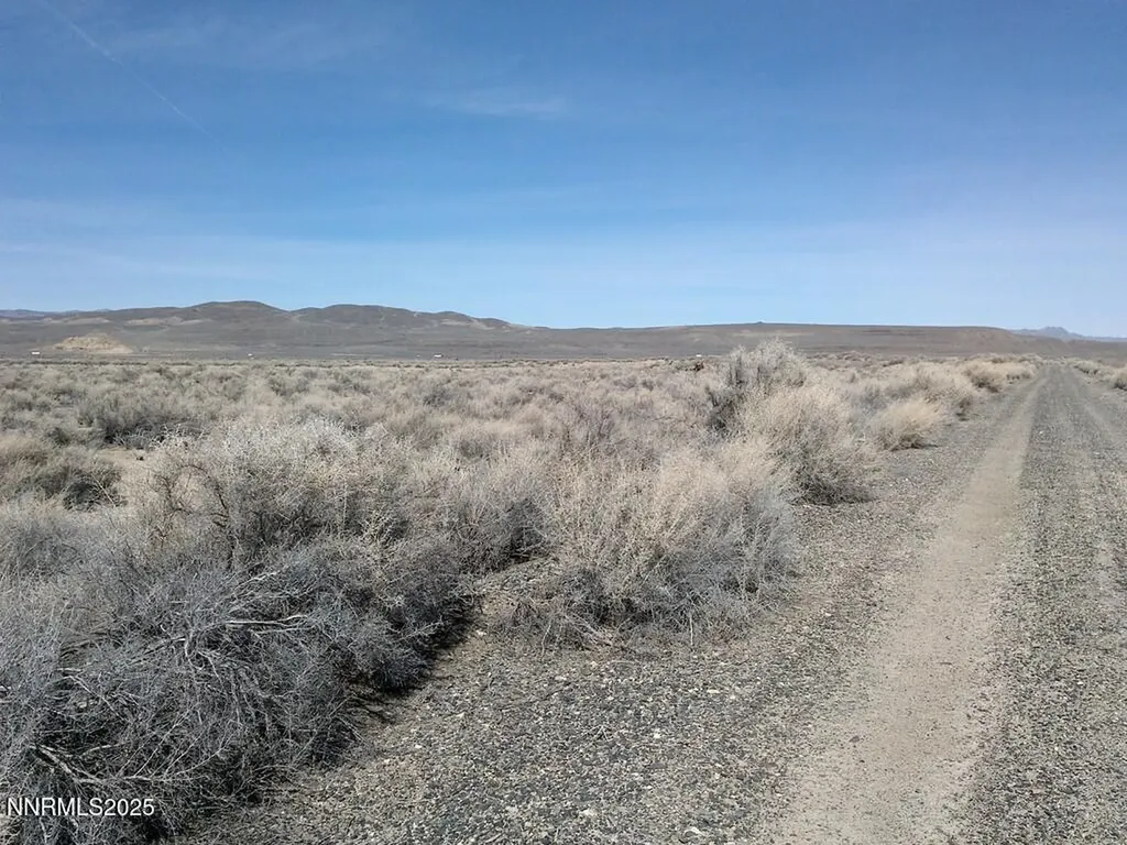 T26 R31 Sec 30 007-381-08 Lovelock NV 89419