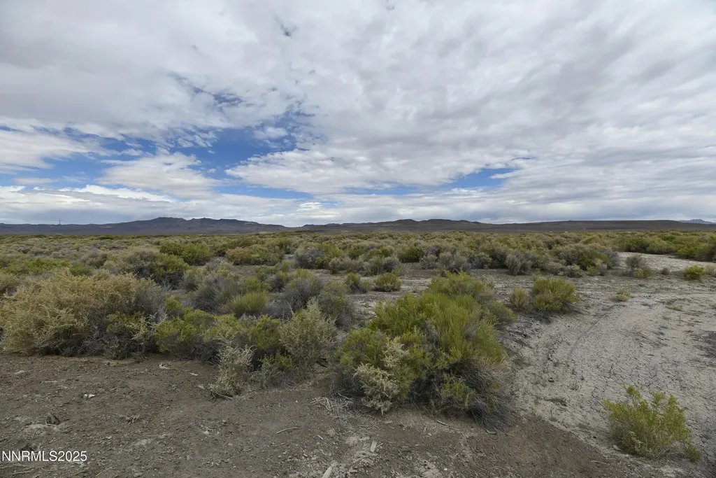 T26 R31 Sec 30 007-381-08 Lovelock NV 89419