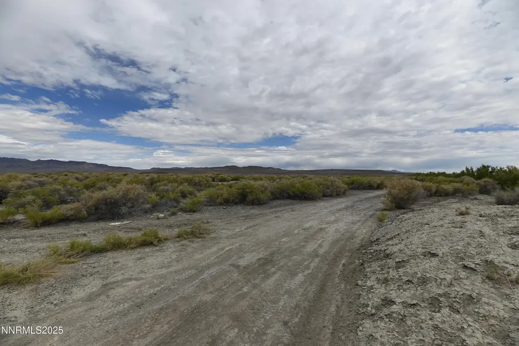 T26 R31 Sec 30 007-381-08 Lovelock NV 89419
