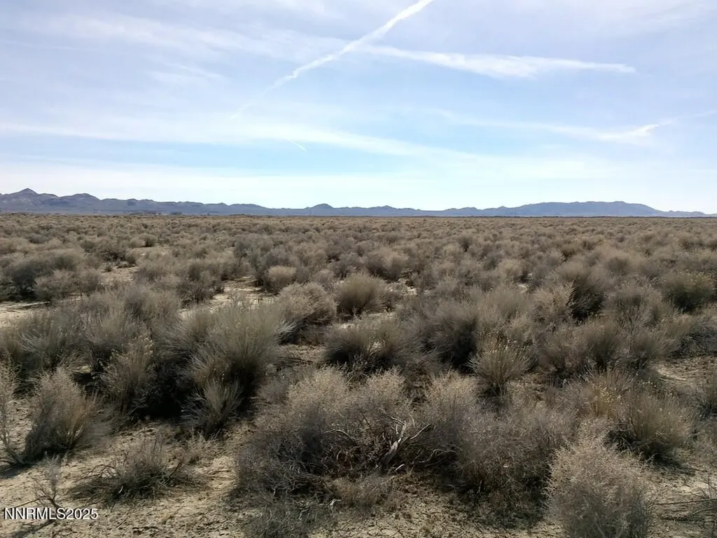 T26 R31 Sec 30 007-381-08 Lovelock NV 89419