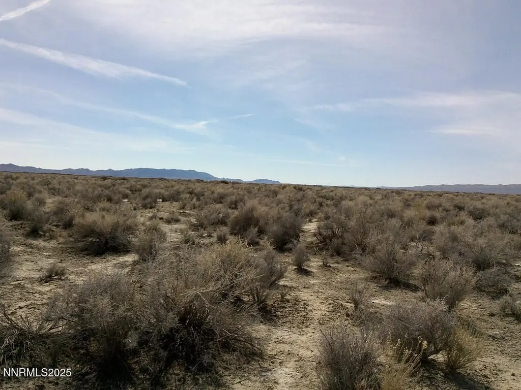 T26 R31 Sec 30 007-381-08 Lovelock NV 89419