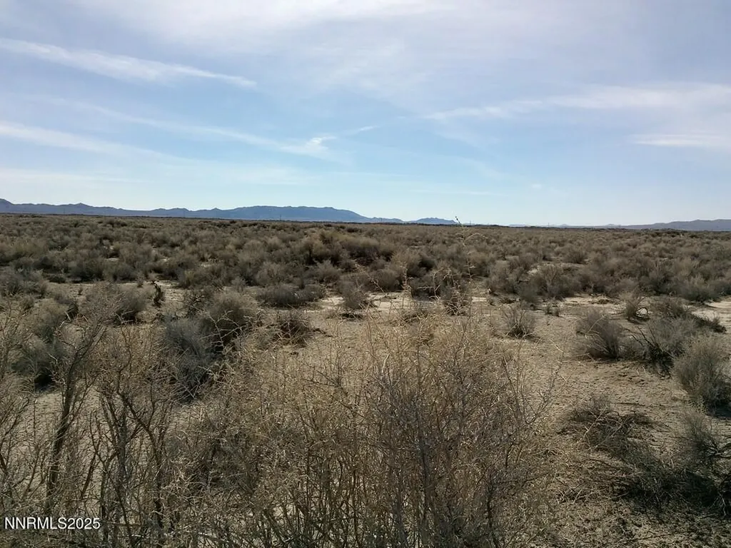 T26 R31 Sec 30 007-381-08 Lovelock NV 89419