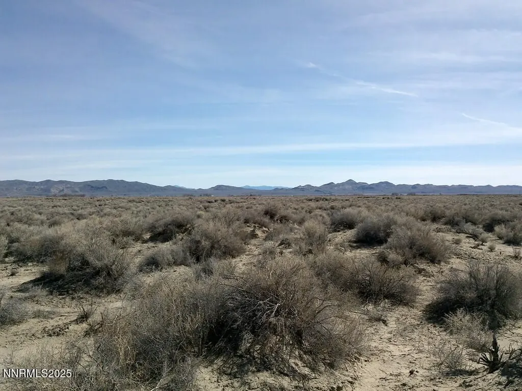 T26 R31 Sec 30 007-381-08 Lovelock NV 89419
