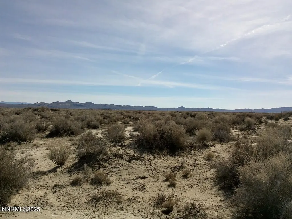 T26 R31 Sec 30 007-381-08 Lovelock NV 89419