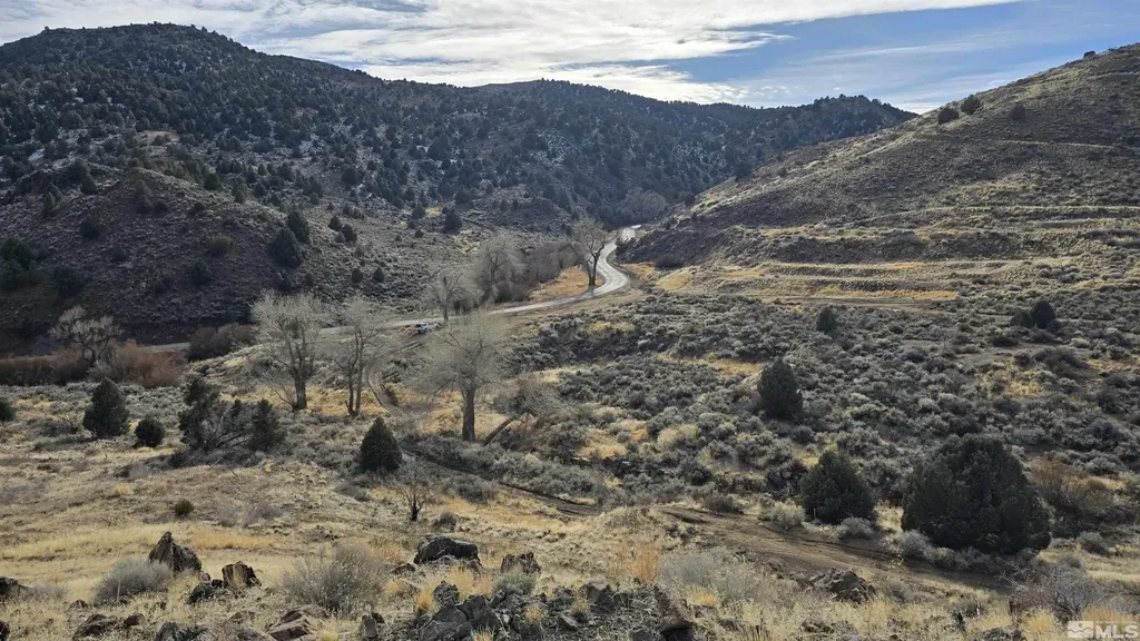 004-311-01 Six Mile Canyon Virginia City NV 89440