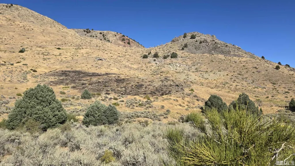 004-311-01 Six Mile Canyon Virginia City NV 89440