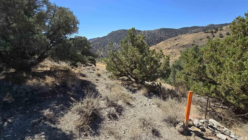 004-311-01 Six Mile Canyon Virginia City NV 89440