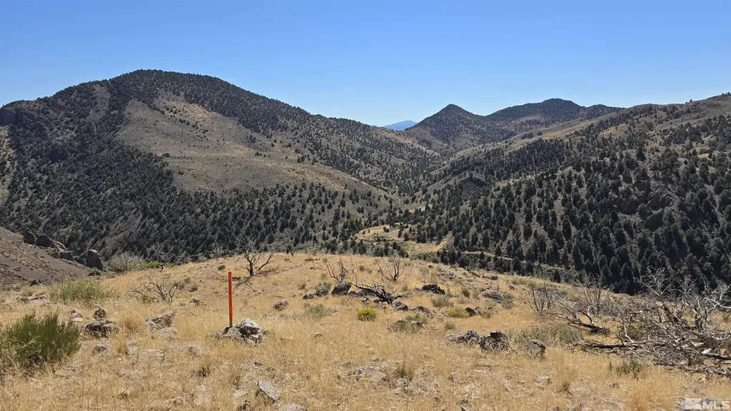 004-311-01 Six Mile Canyon Virginia City NV 89440