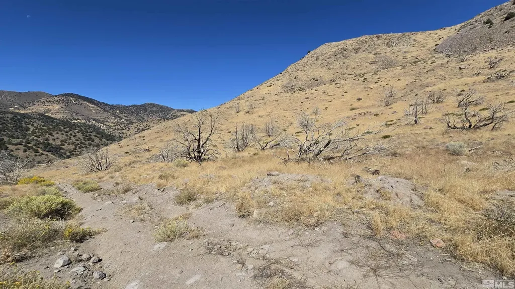 004-311-01 Six Mile Canyon Virginia City NV 89440