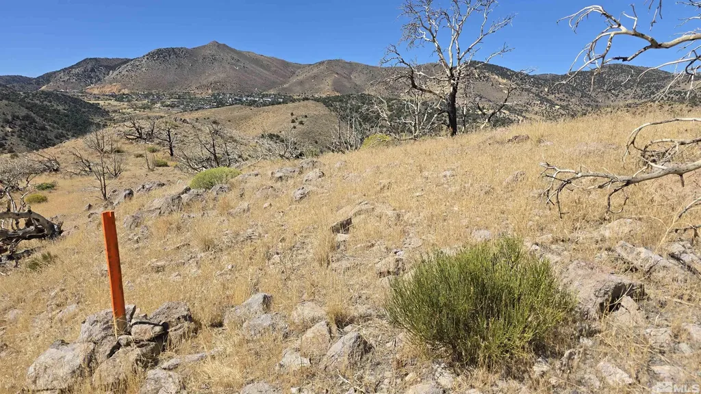 004-311-01 Six Mile Canyon Virginia City NV 89440