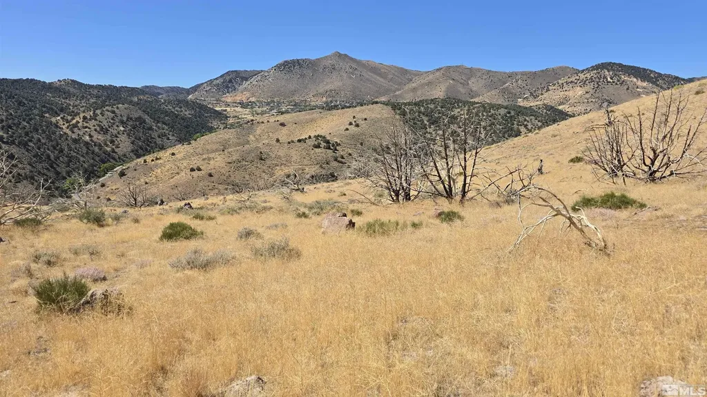 004-311-01 Six Mile Canyon Virginia City NV 89440