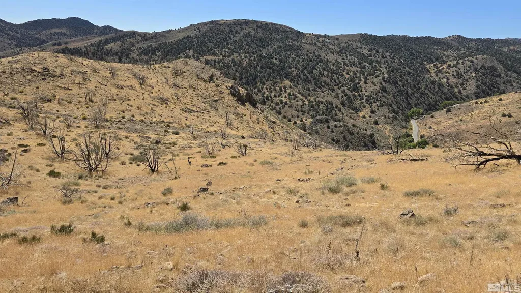 004-311-01 Six Mile Canyon Virginia City NV 89440