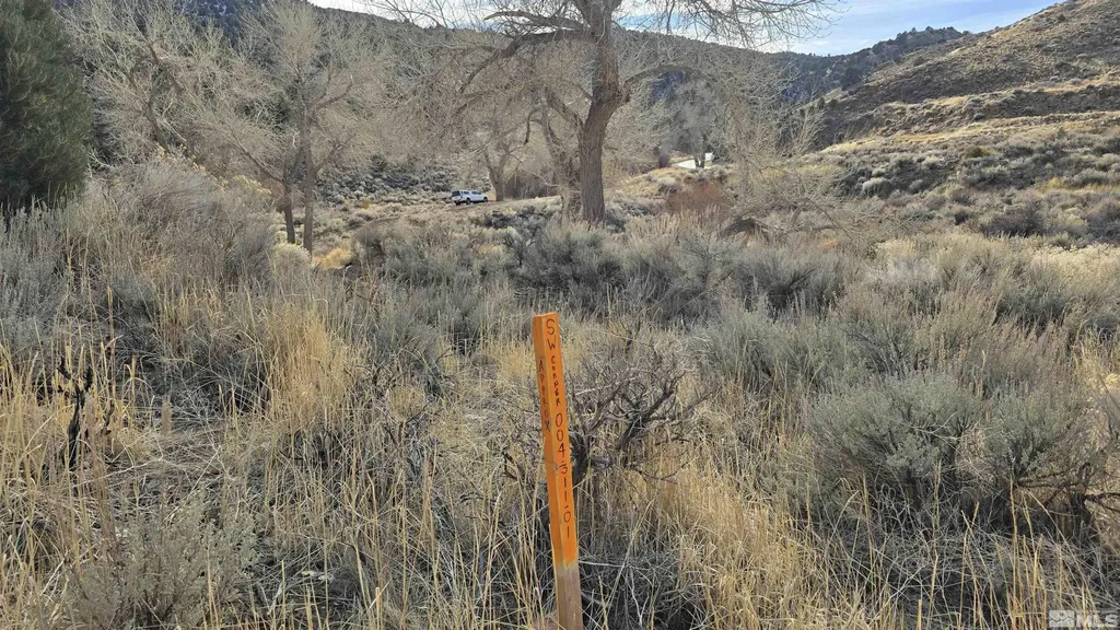 004-311-01 Six Mile Canyon Virginia City NV 89440
